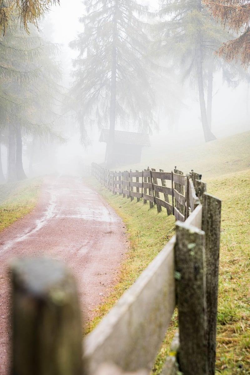 Enchanted Pathways